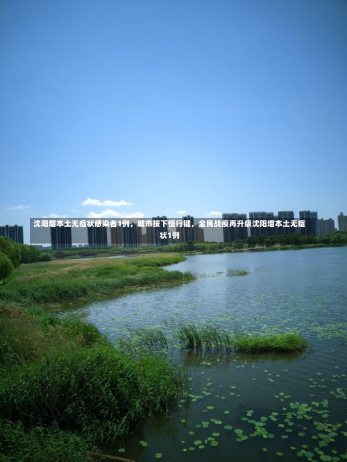沈阳增本土无症状感染者1例	，城市按下慢行键，全民战疫再升级沈阳增本土无症状1例-第2张图片