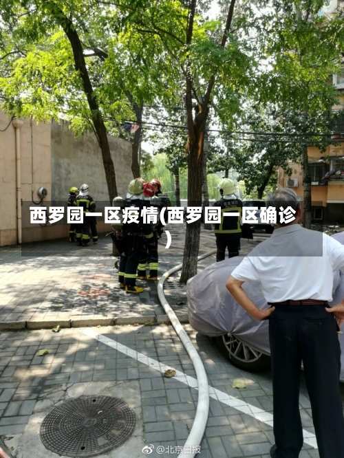 西罗园一区疫情(西罗园一区确诊)-第2张图片